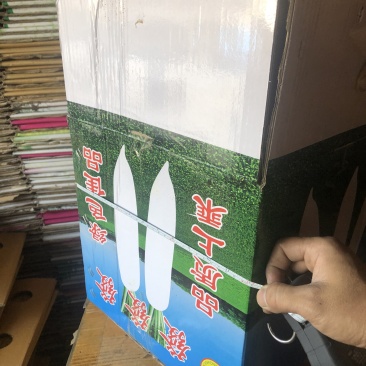 萝卜纸箱二手箱