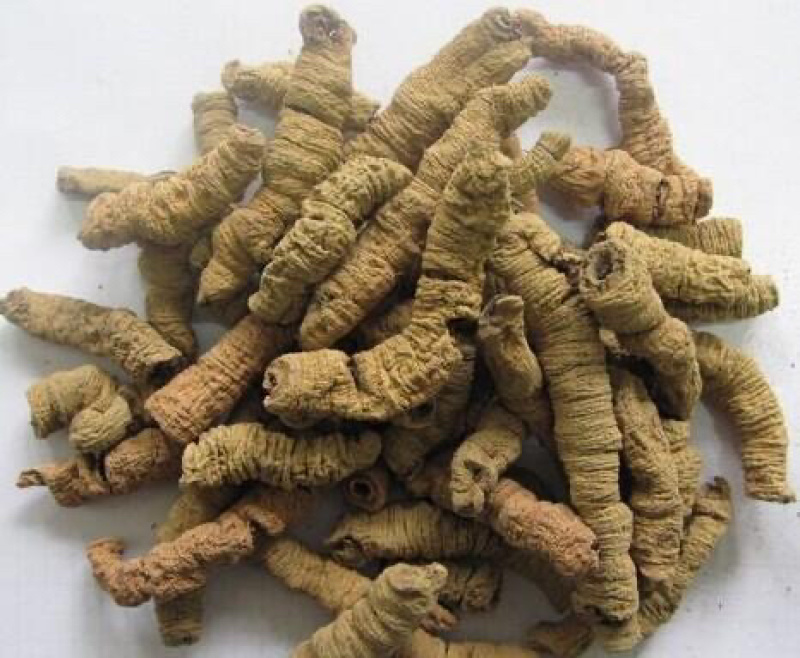 批发中药材巴戟天巴戟天肉产地直销