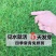 草坪种子草籽四季常青免修剪庭院耐寒耐踩狗牙根护坡绿化马尼