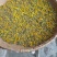 野生菊花