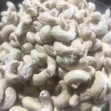 缅甸腰果