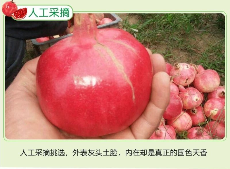 新疆和田皮亚曼石榴多种规格可接团购新鲜上市