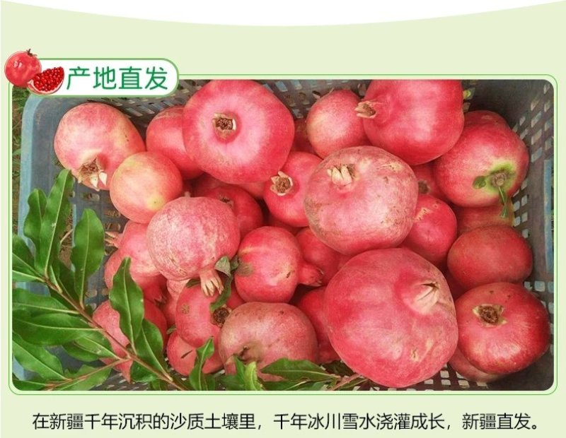 新疆和田皮亚曼石榴多种规格可接团购新鲜上市