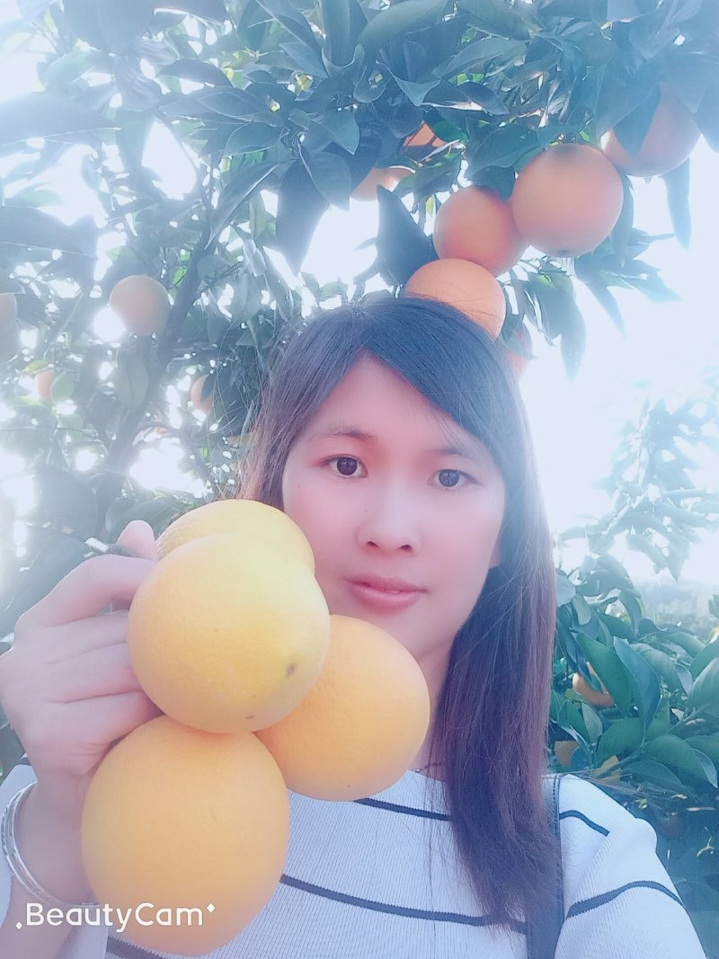 赣南脐橙