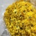 金丝皇菊婺源皇菊