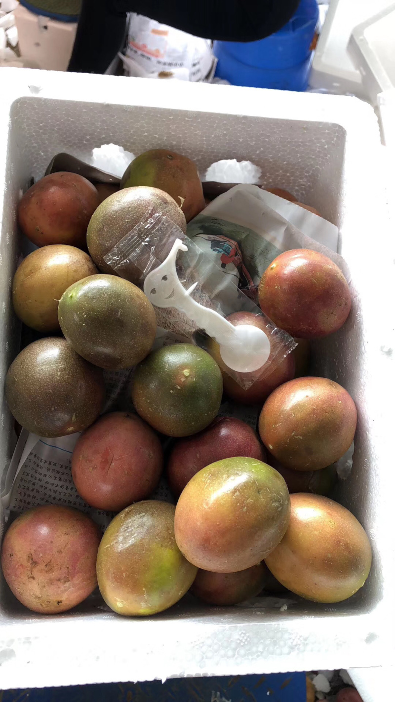 百香果紫果红果产地直发常年大量批发（包邮）