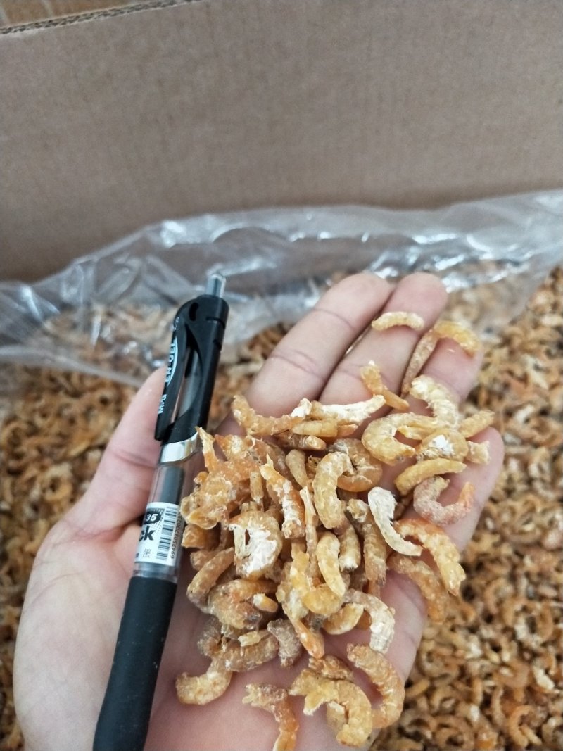 白虾仔虾米