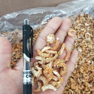白虾仔虾米