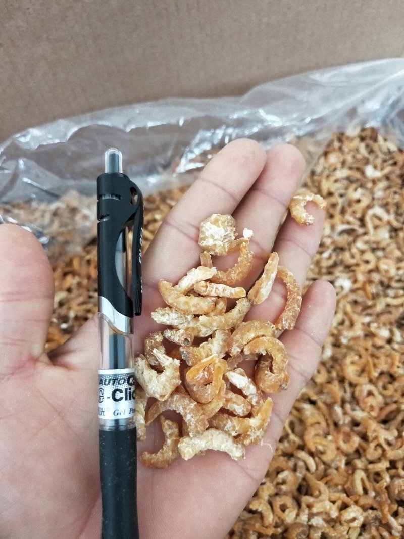 白虾仔虾米