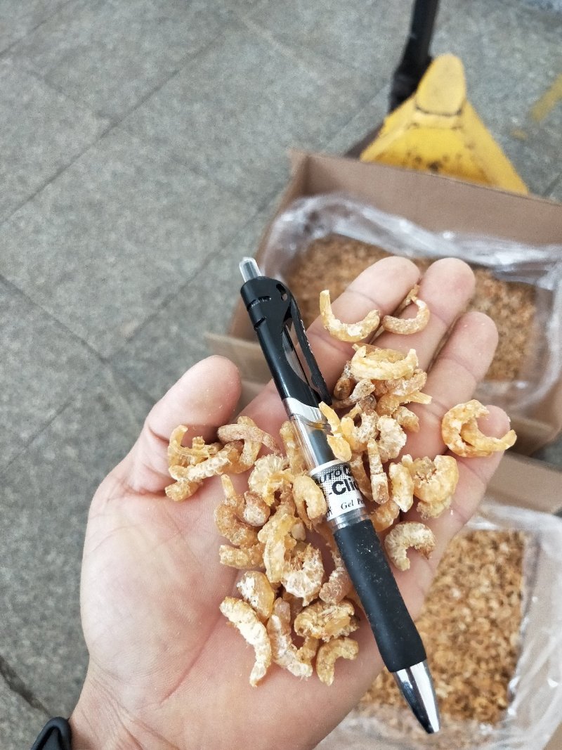 白虾仔虾米