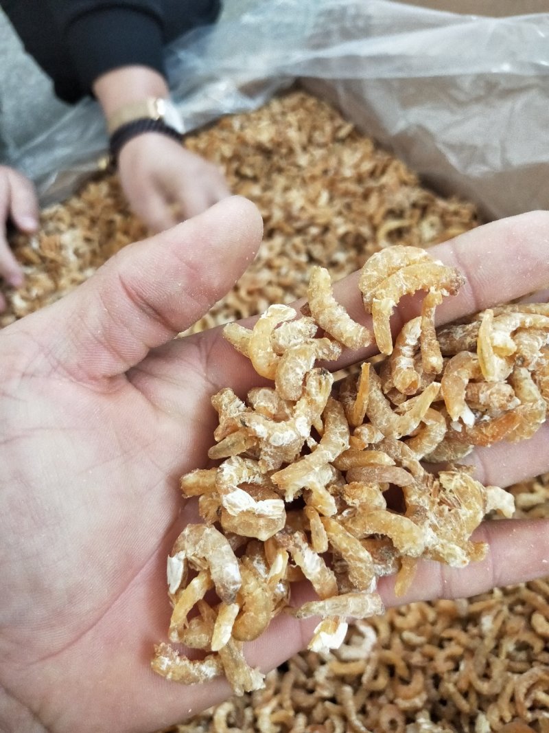 白虾仔虾米