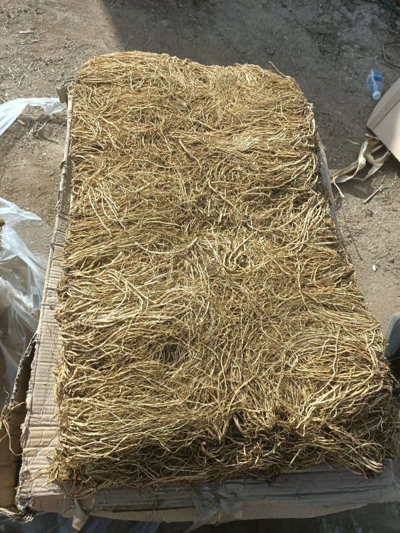 北龙胆草干货，摆盘货
