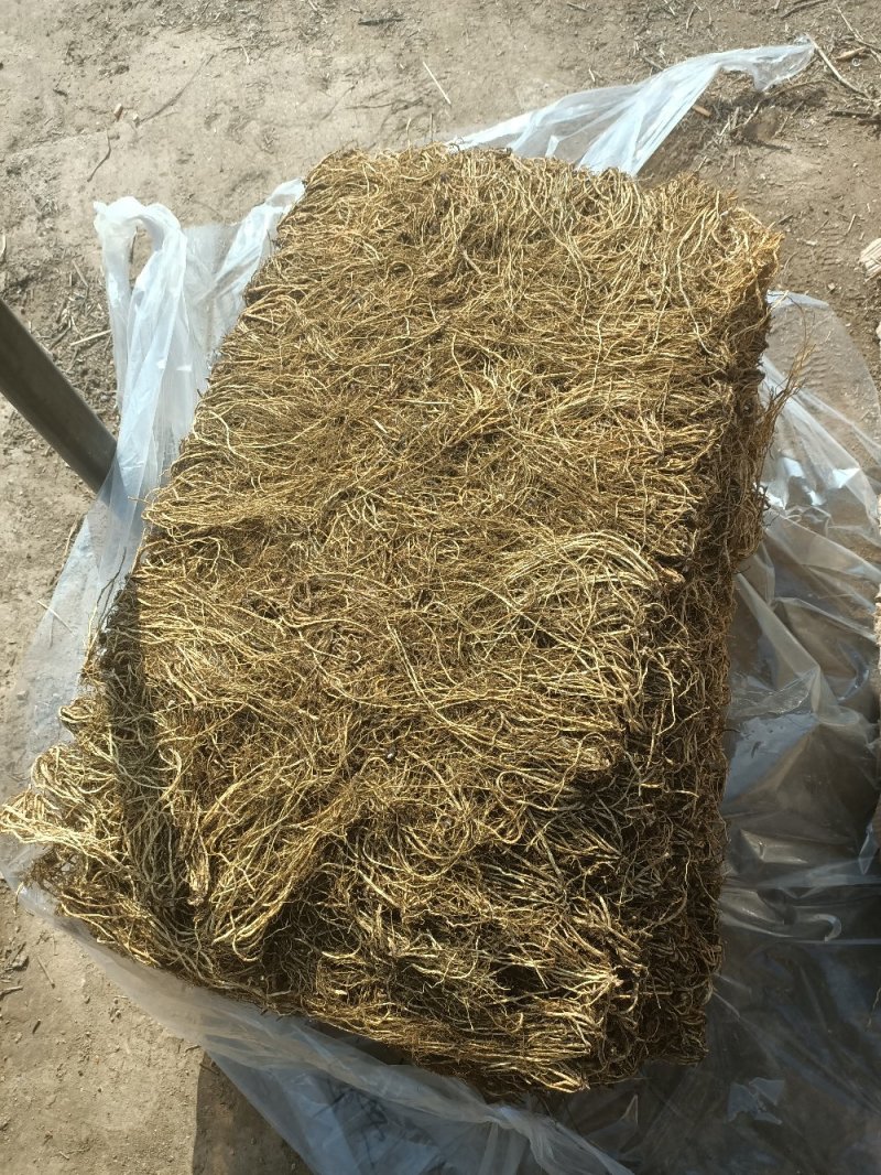 北龙胆草干货，摆盘货