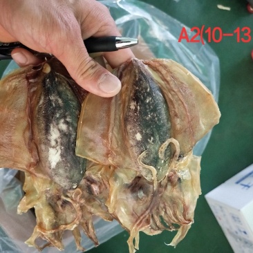 全淡墨鱼干