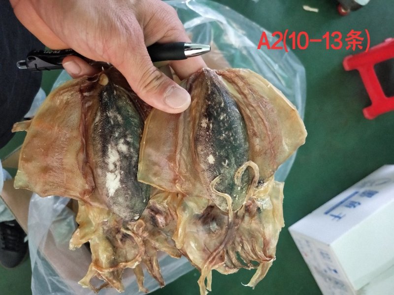 全淡墨鱼干
