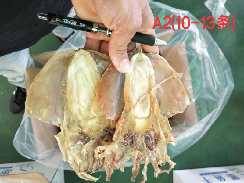 全淡墨鱼干