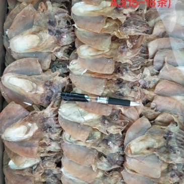 全淡墨鱼干