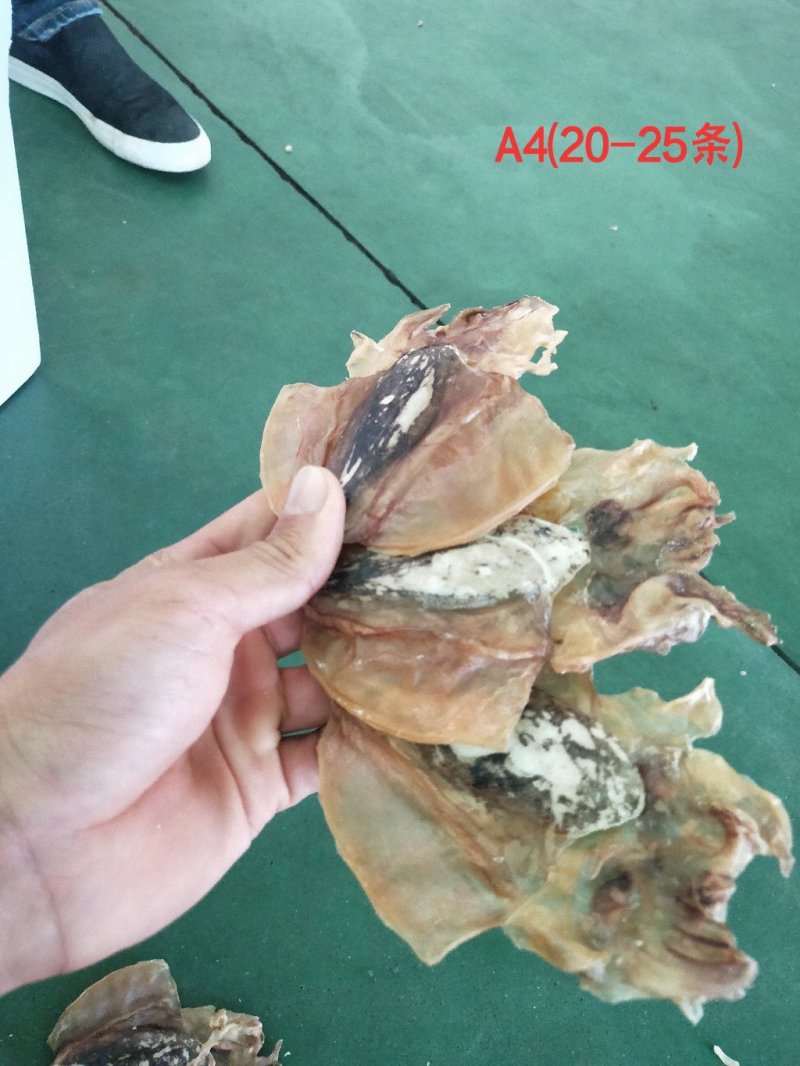 全淡墨鱼干