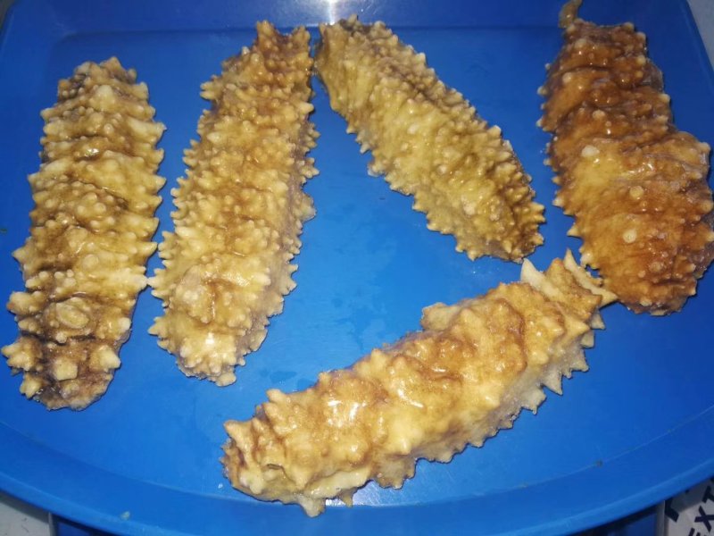 海参