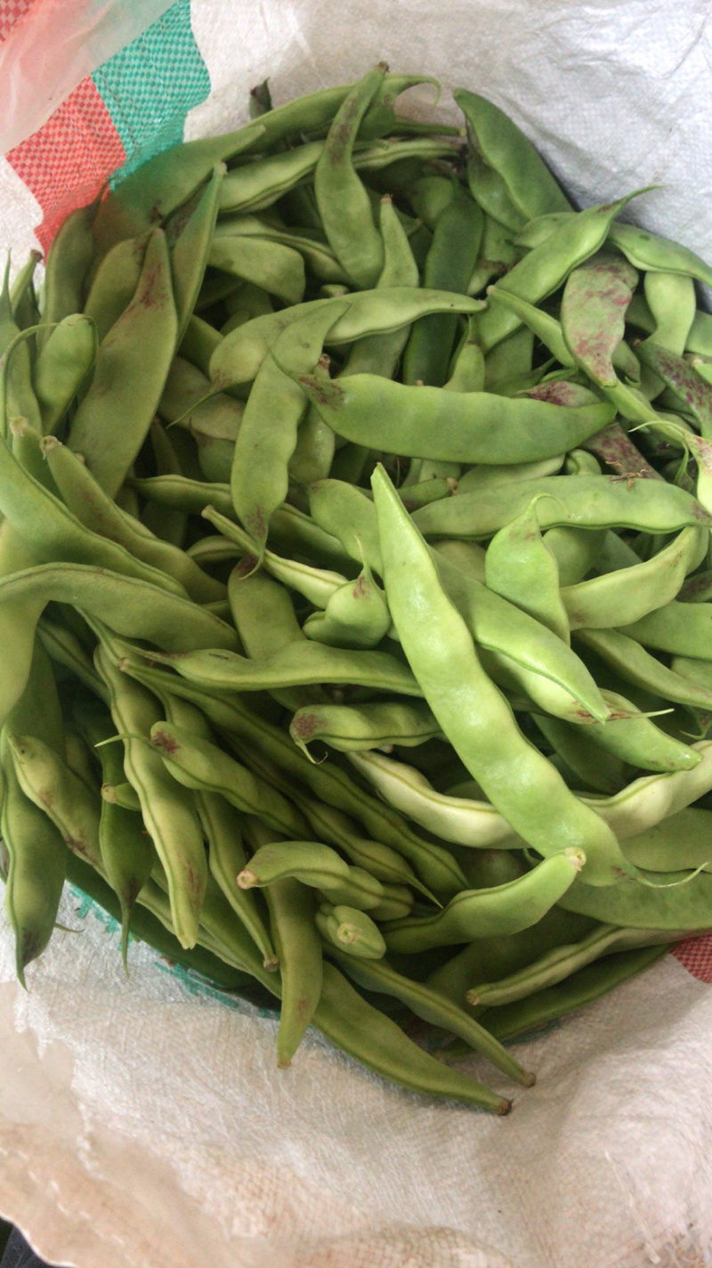 油豆
