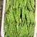 油豆