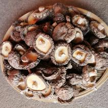 江西香菇/冬菇A22.5-3肉厚无根10斤起全国发货