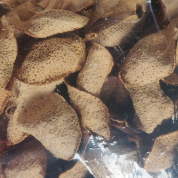 陈皮