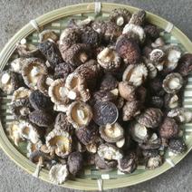 香菇/黑面菇A32-2.5肉厚无根10斤起全国发货