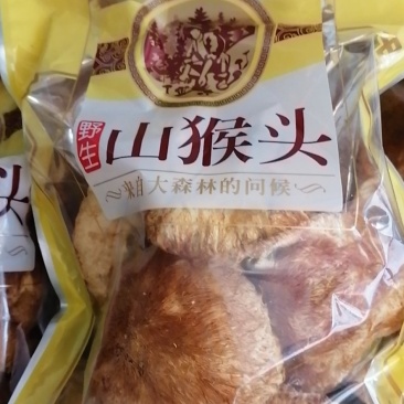 东北猴头菇山猴头产地直销【一公斤包邮】欢迎联系下单