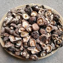 江西香菇/冬菇A22.5-3肉厚无根10斤起全国发货
