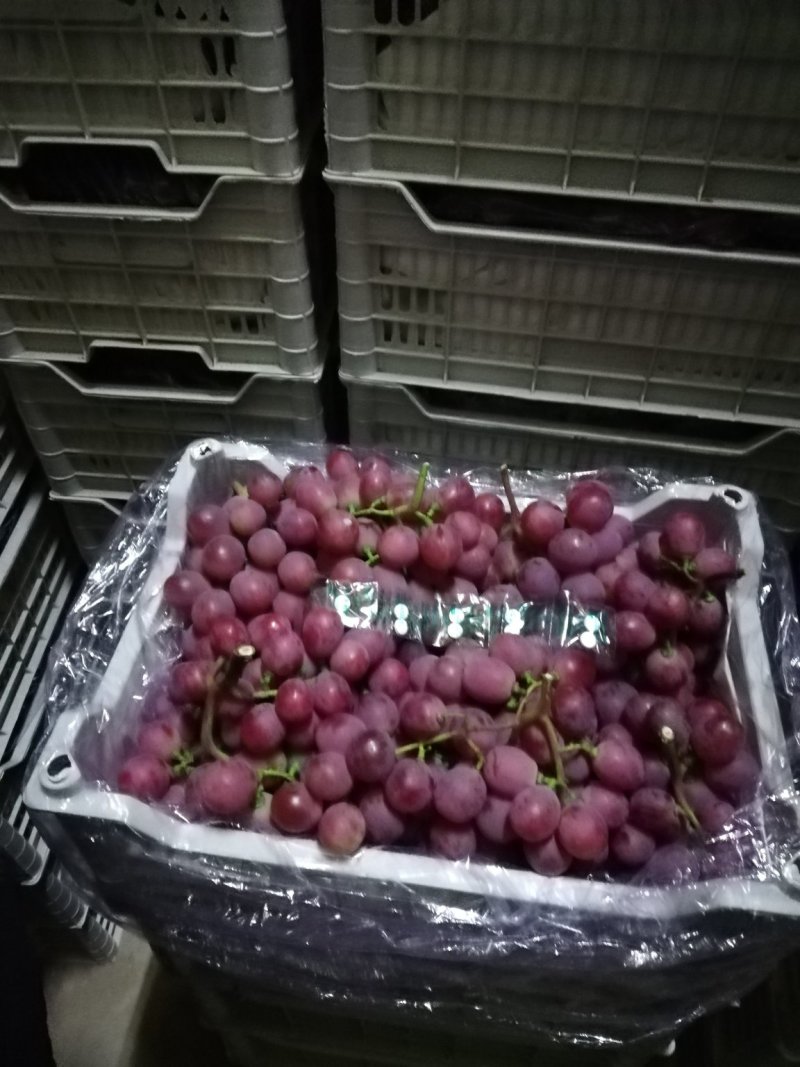 红提
