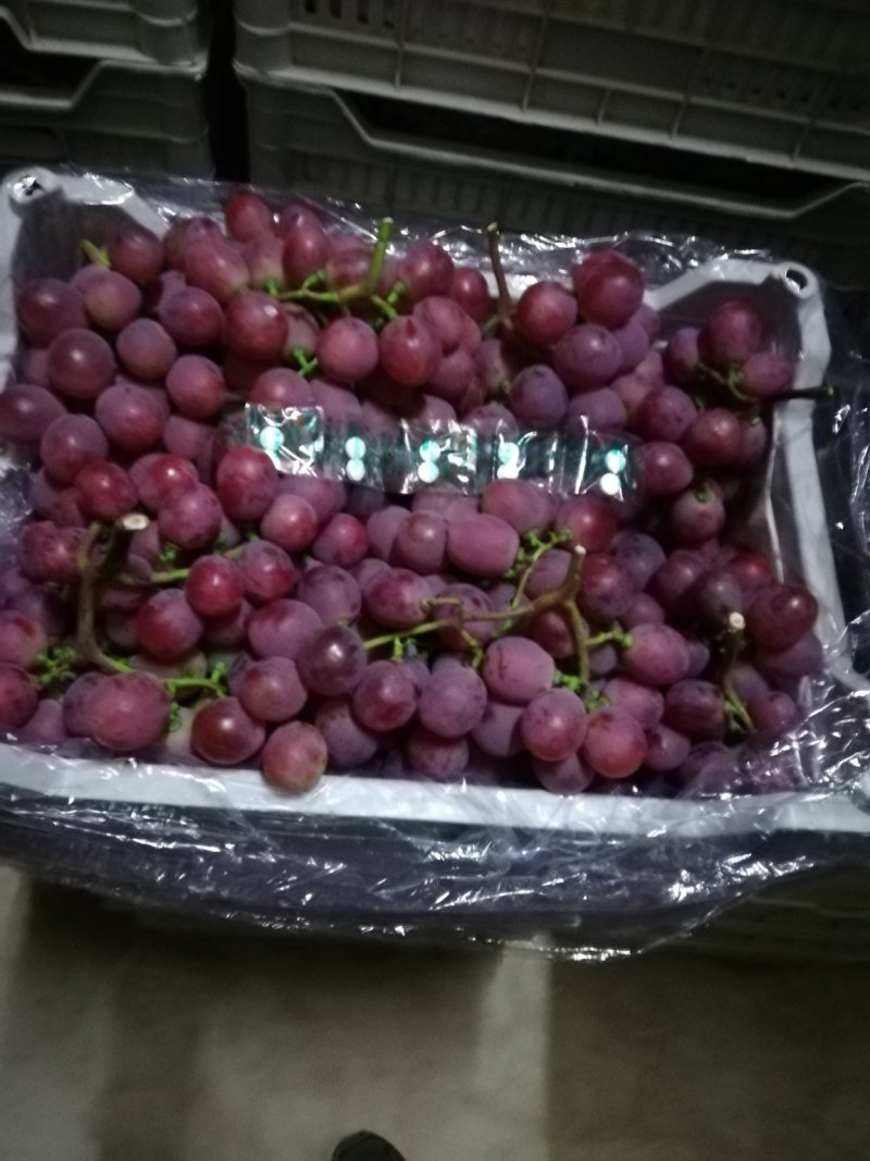 红提