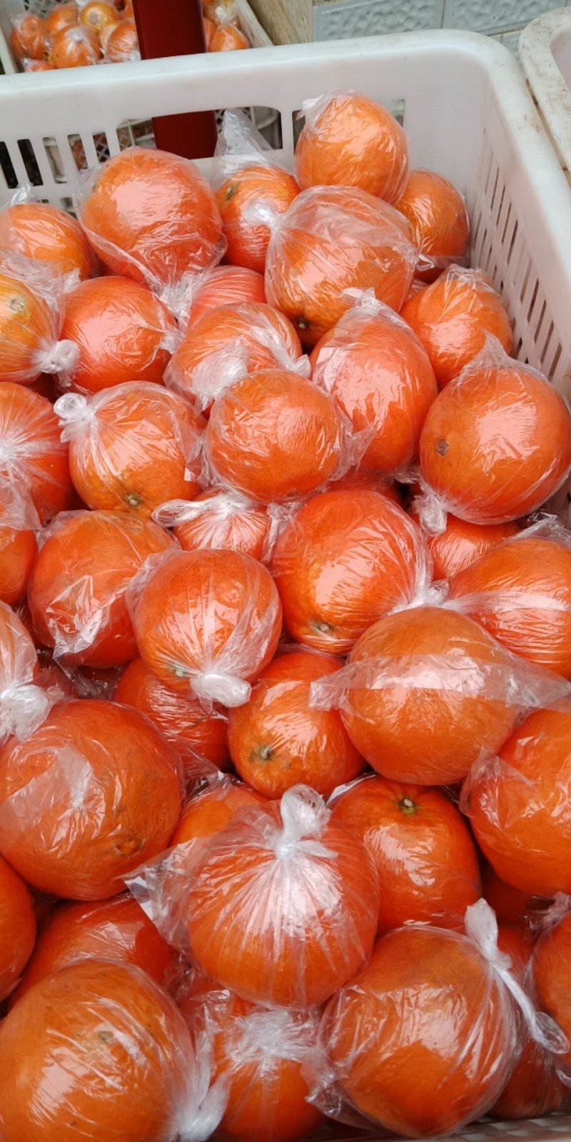 湖南湘西精品纽荷尔脐橙~大量上市中好货不容错过价格实惠