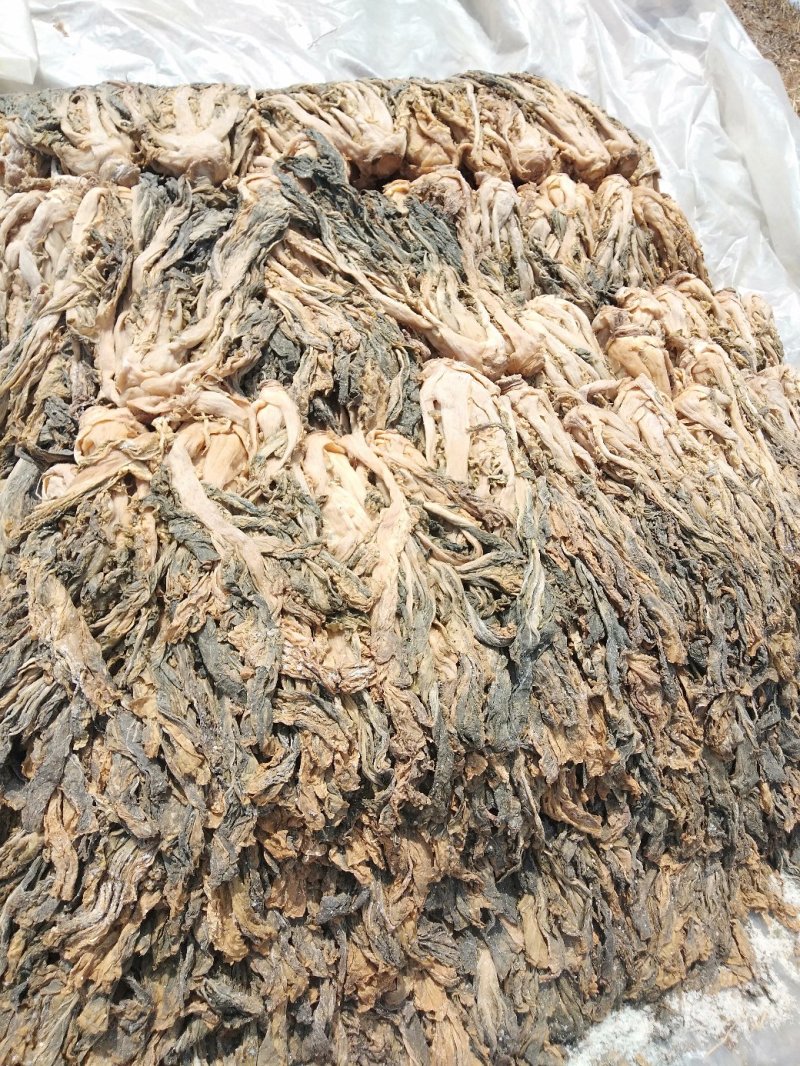 惠州矮陂农家浓香梅菜