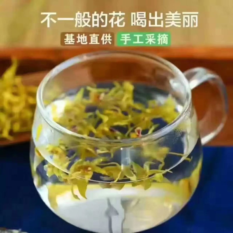 霍山石斛花，铁皮石斛花，基地直发，品质保证，欢迎洽谈合作