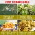 霍山石斛花，铁皮石斛花，基地直发，品质保证，欢迎洽谈合作