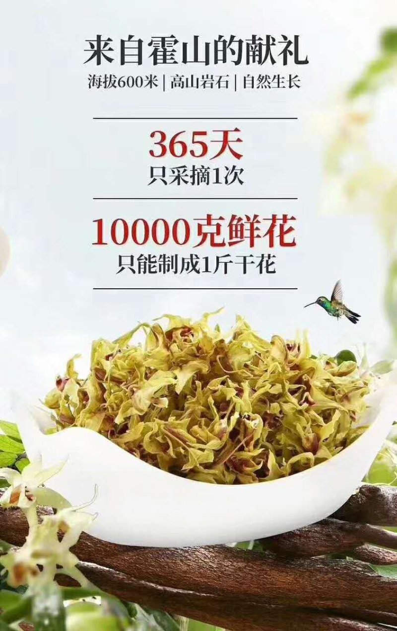 霍山石斛花，铁皮石斛花，基地直发，品质保证，欢迎洽谈合作