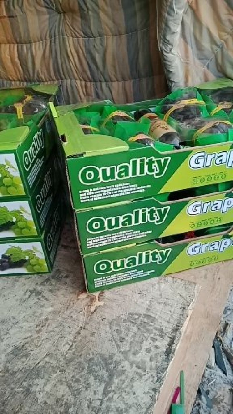 四斤小黑箱大量走货
