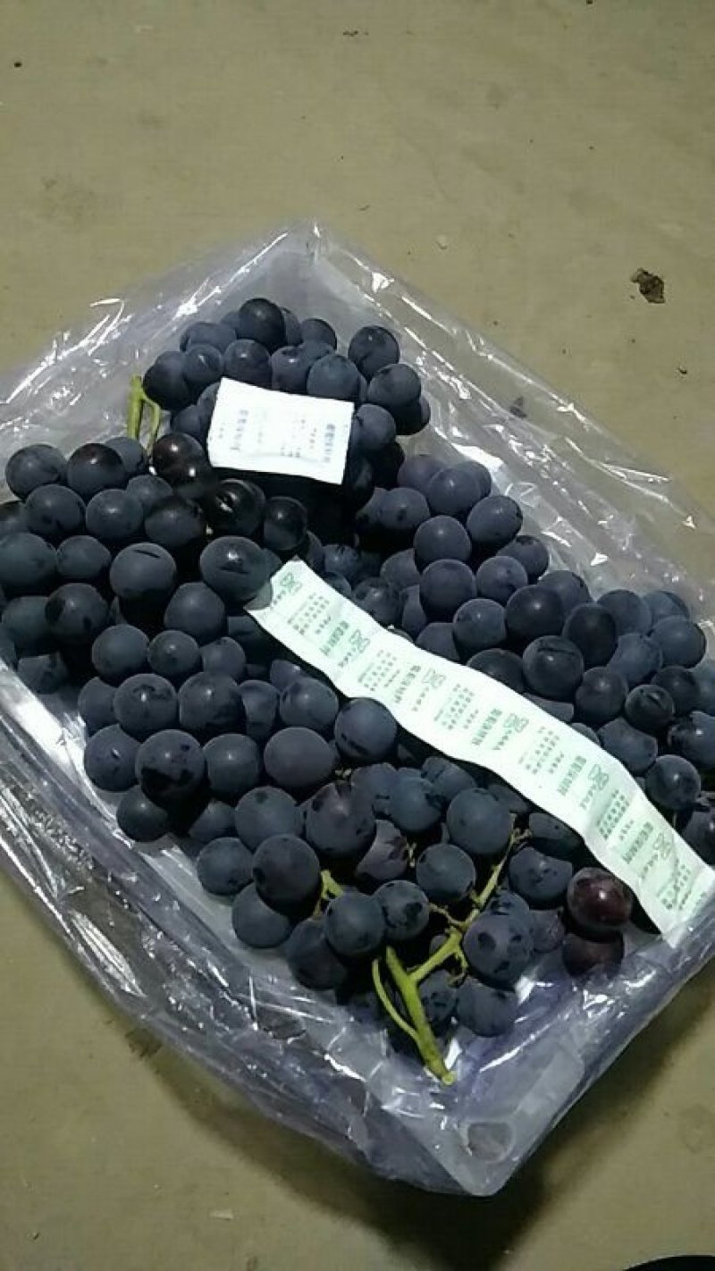 四斤小黑箱大量走货