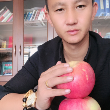 绥中富士苹果
