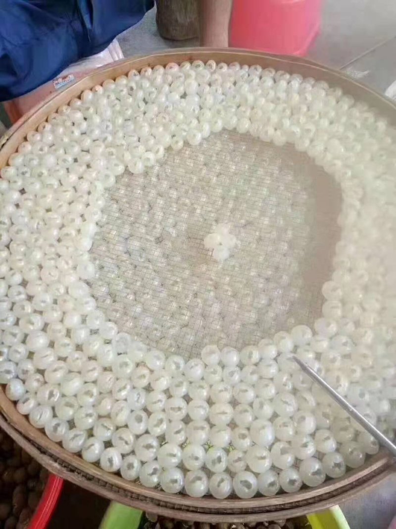 桂圆肉