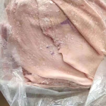 国产精修肥猪猪皮大量有货