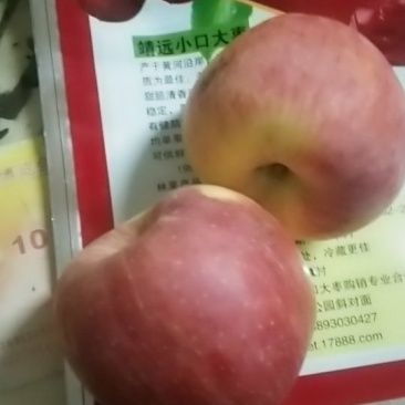石林红富士