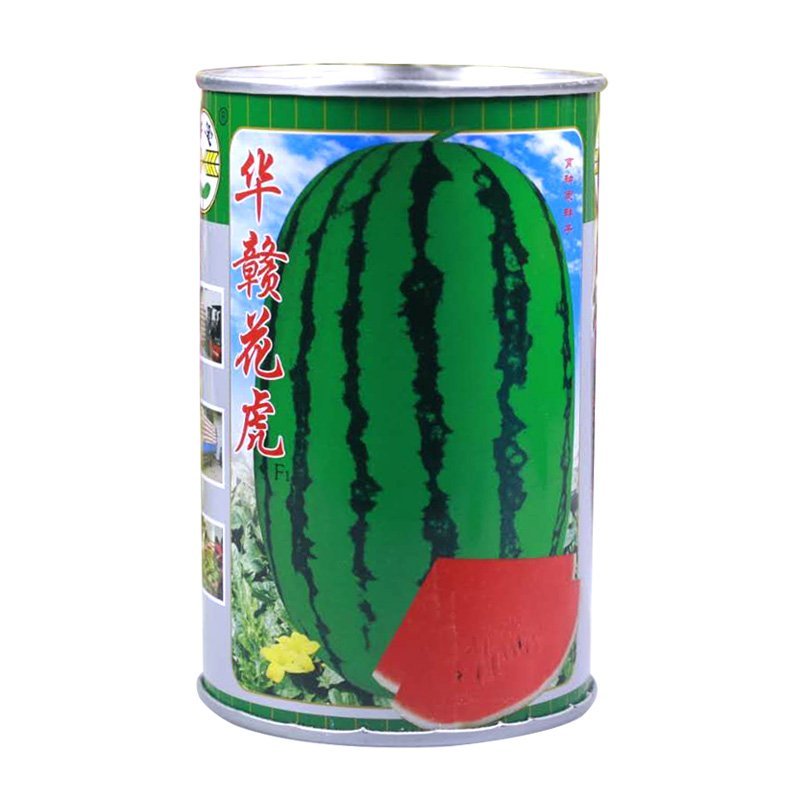 绿宝花虎高产抗病杂交西瓜种子华赣花虎大果红瓤耐重茬抗枯萎