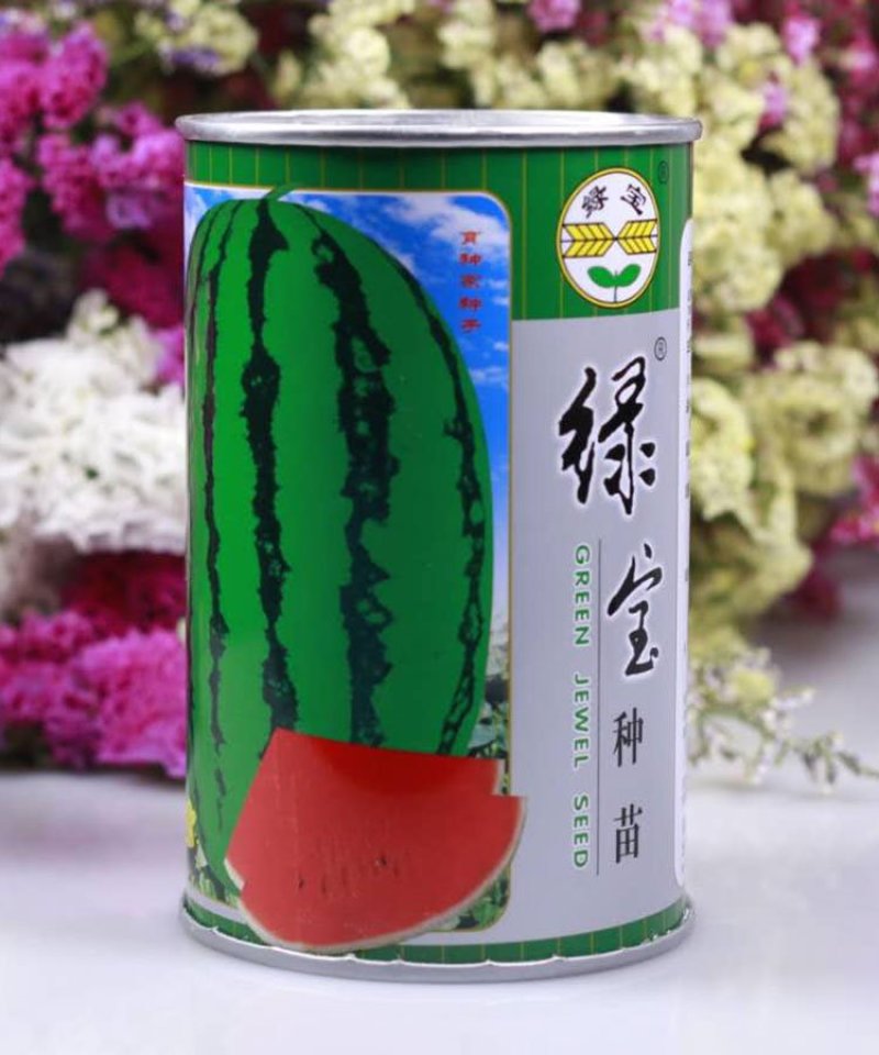 绿宝花虎高产抗病杂交西瓜种子华赣花虎大果红瓤耐重茬抗枯萎