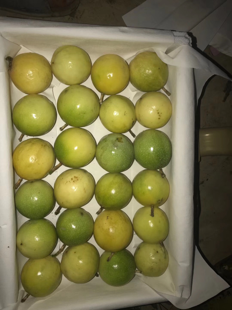 保亭六弓百香果