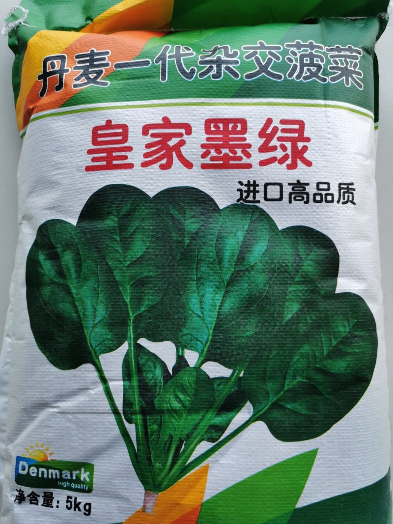 皇家墨绿进口菠菜种籽春秋越冬黑圆叶耐寒菠菜籽10斤