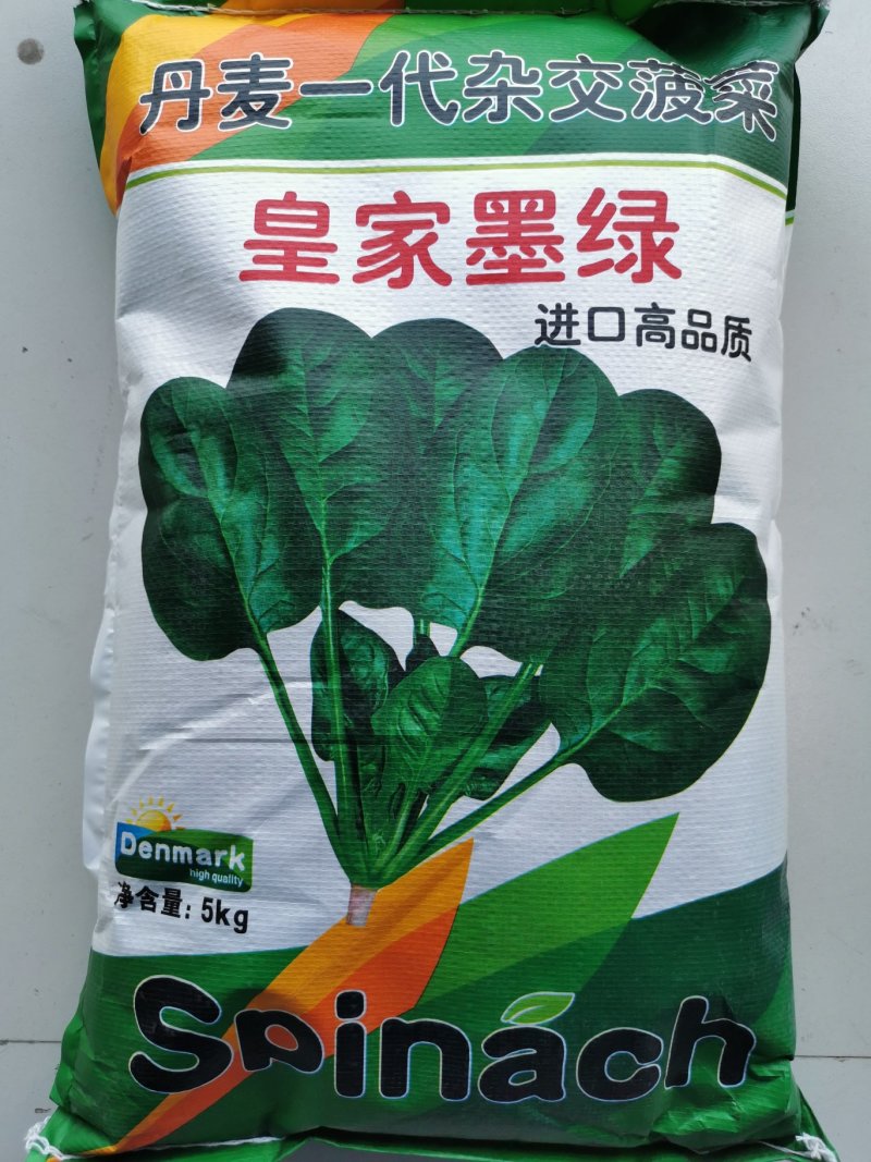 皇家墨绿进口菠菜种籽春秋越冬黑圆叶耐寒菠菜籽10斤