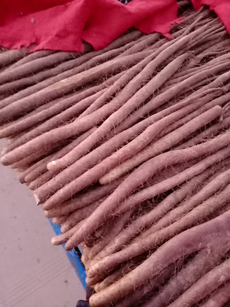 新白玉山药西施山药九斤黄山药大小货都有！！