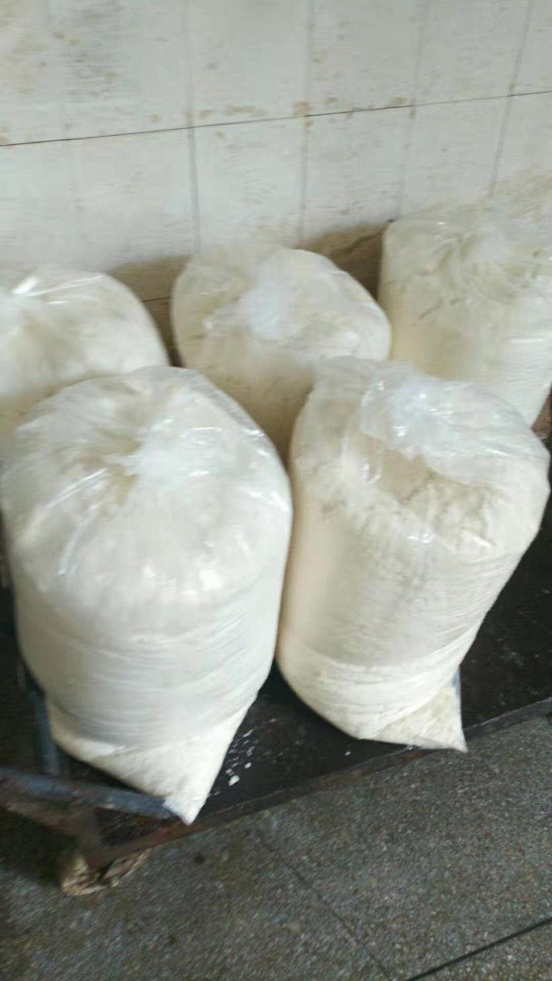 豆渣新鲜脱水黄豆渣